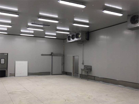 食品速冻型黄瓜视频污下载建造费用