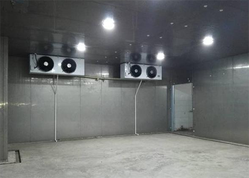 气调黄瓜视频污下载建造厂家