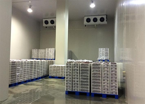 食品黄瓜视频污下载建造安装