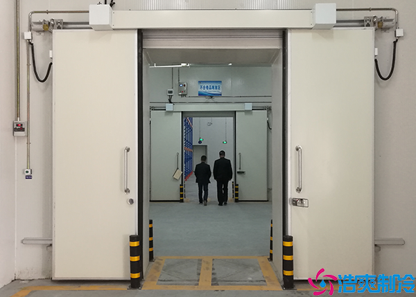 中小型低温黄瓜视频污下载