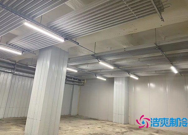 600吨货物需要建造多大的冷藏库？.jpg