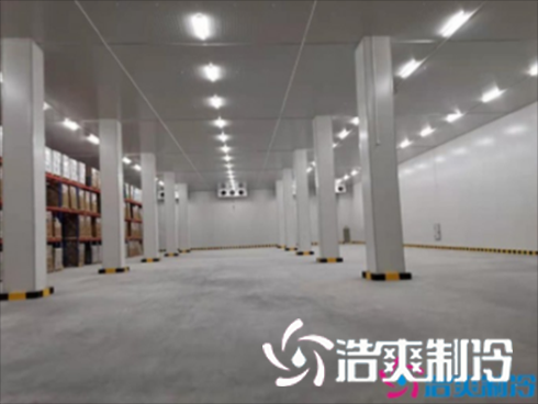 小型食品黄瓜视频污下载建造