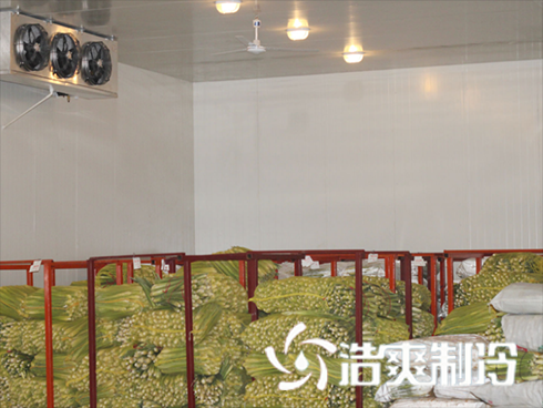 果蔬黄瓜视频污下载建造价格